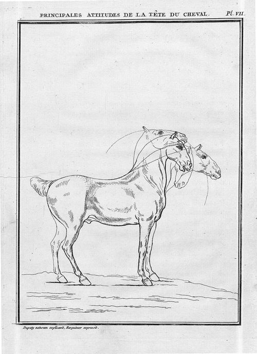 07 Dupaty la vraie position